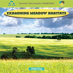 Examining Meadow Habitats by Zelda King, 9781435827226