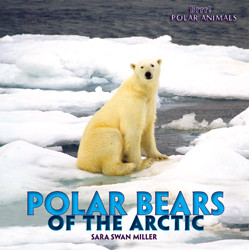 Polar Bears of the Arctic by Sara Swan Miller, 9781435827417