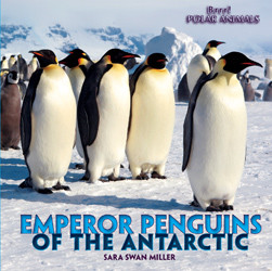 Emperor Penguins of the Antarctic by Sara Swan Miller, 9781435827424