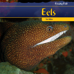 Eels - 9781435827547 by Tori Miller, 9781435827547