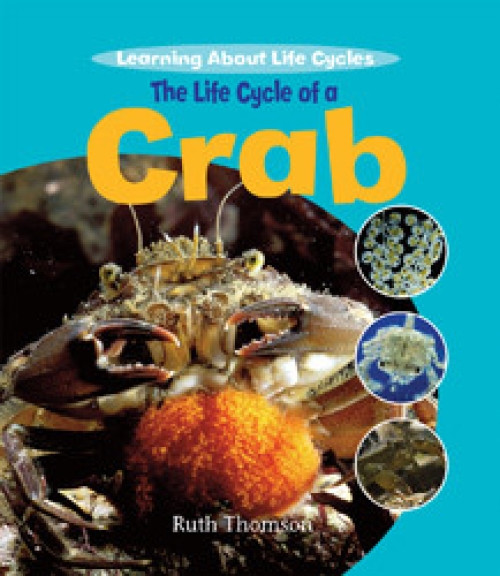 The Life Cycle of a Crab - 9781435828841 by Ruth Thomson
