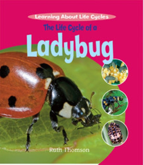 The Life Cycle of a Ladybug - 9781435828858 by Ruth Thomson