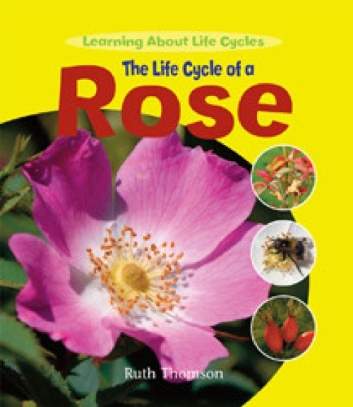 The Life Cycle of a Rose - 9781435828872 by Ruth Thomson
