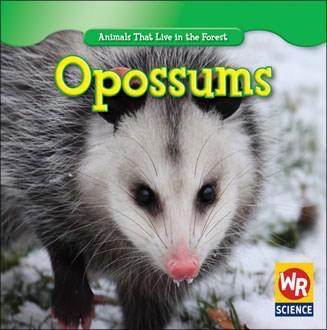 Opossums - 9781433924057 by JoAnn Early Macken, 9781433924057