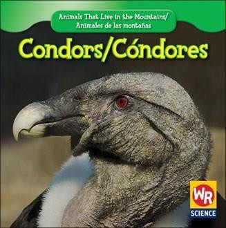 Condors / Cóndor - 9781433924422 by JoAnn Early Macken, 9781433924422