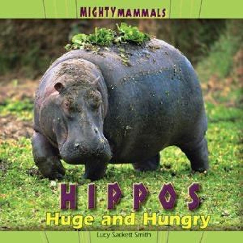 Hippos - 9781404281059 by Lucy Sackett Smith