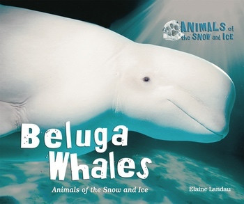 Beluga Whales (Animals of the Snow and Ice) by Elaine Landau, 9780766034594