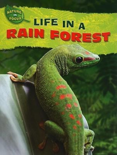 Life in a Rain Forest by Lorien Kite, 9781433934087