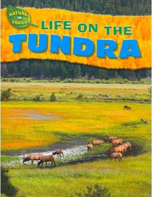 Life on the Tundra - 9781433934186 by Jen Green