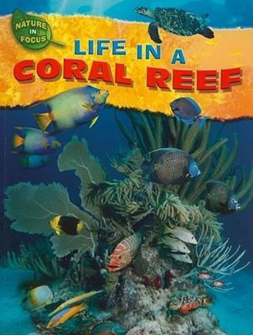 Life in a Coral Reef - 9781433934247 by Jen Green