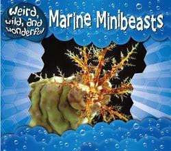 Marine Minibeasts by Kerry Nagle, 9781433935718