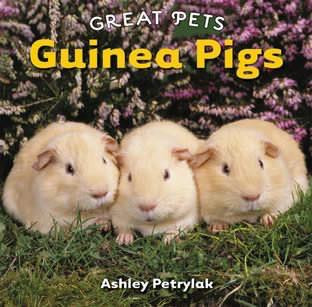Guinea Pigs - 9780761441489 by Ashley Petrylak, 9780761441489