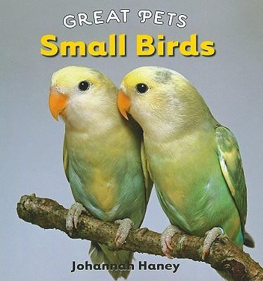 Small Birds - 9780761441502 by Johannah Haney, 9780761441502