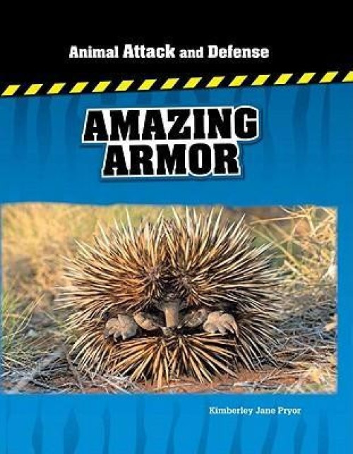 Amazing Armor by Kimberley Jane Pryor, 9780761444244
