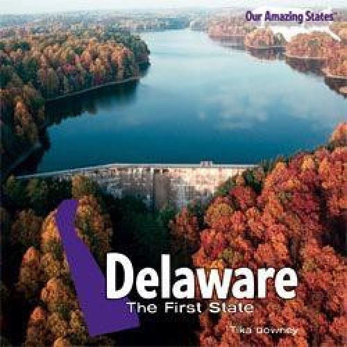 Delaware - 9781435893566 by Tika Downey