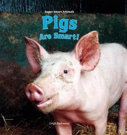 Pigs Are Smart! by Leigh Rockwood, 9781435893733