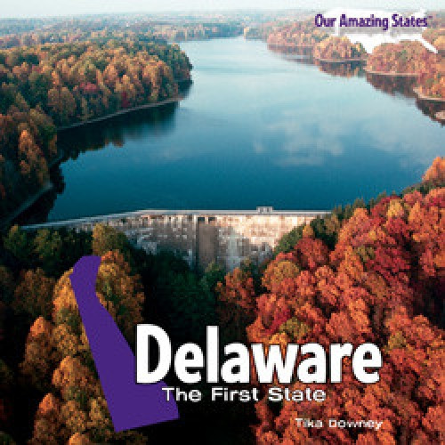 Delaware - 9781435898080 by Tika Downey