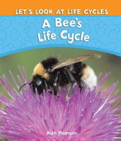 A Bee's Life Cycle by Ruth Thomson, 9781615322169