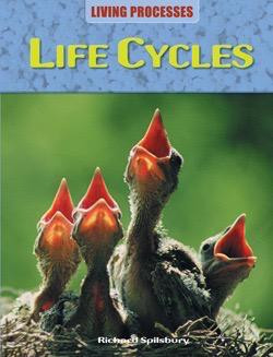 Life Cycles - 9781615323418 by Richard Spilsbury, 9781615323418