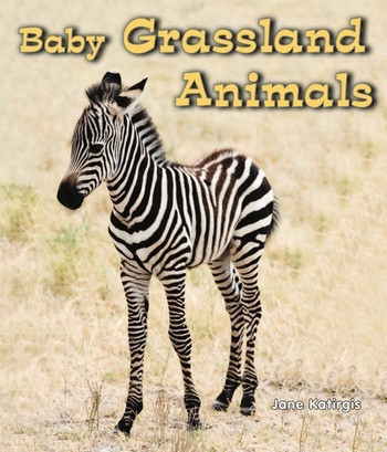 Baby Grassland Animals by Jane Katirgis, 9780766037939