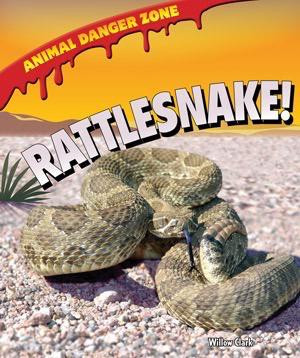 Rattlesnake! - 9781607549581 by Willow Clark, 9781607549581