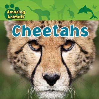 Cheetahs - 9781433940101 by Sarah Albee, Kate Delaney, 9781433940101