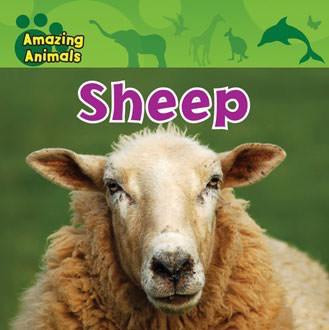 Sheep - 9781433940286 by Christina Wilsdon, 9781433940286