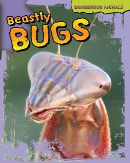 Beastly Bugs by Tom Jackson, 9781433940347