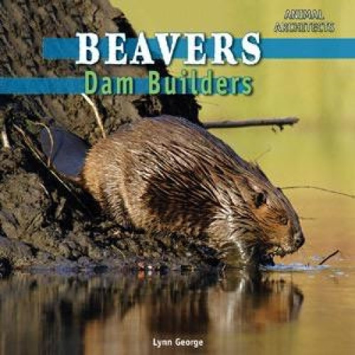 Beavers - 9781448806980 by Lynn George