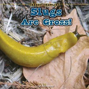 Slugs Are Gross! by Leigh Rockwood, 9781448807048