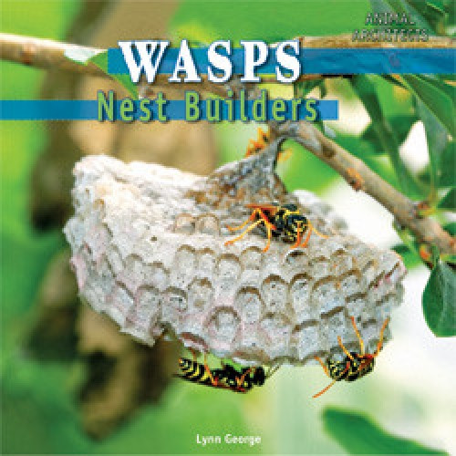 Wasps - 9781448813476 by Lynn George
