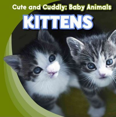 Kittens - 9781433945120 by Grace Elora, 9781433945120
