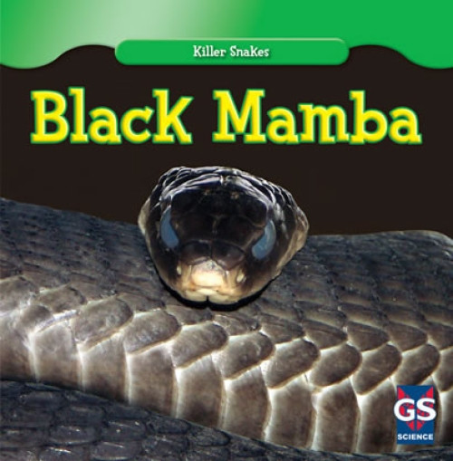 Black Mamba - 9781433945298 by Angelo Gangemi