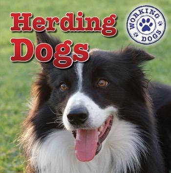 Herding Dogs - 9781433946554 by Mary Ann Hoffman, 9781433946554
