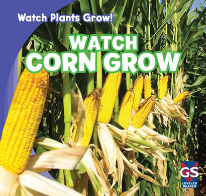 Watch Corn Grow by Kristen Rajczak Nelson, 9781433948220