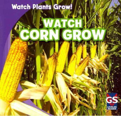 Watch Corn Grow - 9781433948237 by Kristen Rajczak Nelson, 9781433948237