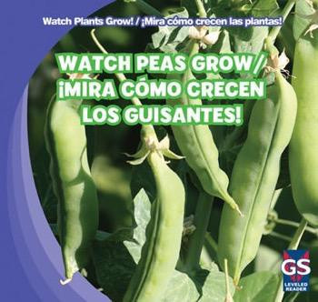 Watch Peas Grow / ¡Mira cómo crecen los guisantes! by Therese M. Shea, 9781433948374