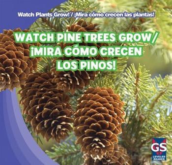 Watch Pine Trees Grow / ¡Mira cómo crecen los pinos! by Therese M. Shea, 9781433948435