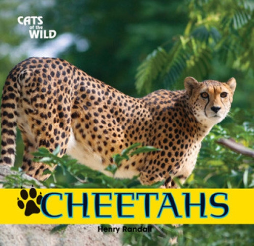 Cheetahs - 9781448825189 by Henry Randall