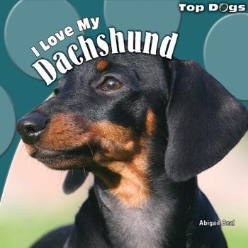 I Love My Dachshund by Abigail Beal, 9781448825370
