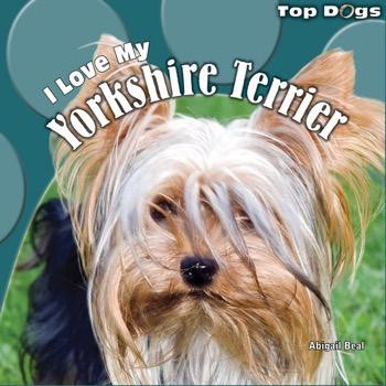 I Love My Yorkshire Terrier by Abigail Beal, 9781448825387