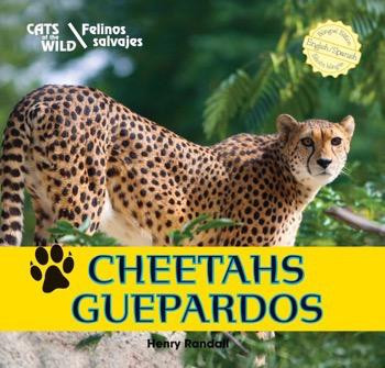 Cheetahs / Guepardos (Bilingual Edition) by Henry Randall, 9781448831302