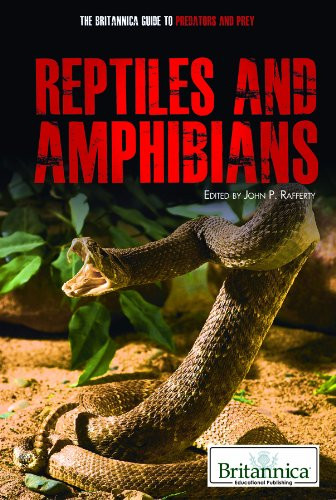 Reptiles and Amphibians - 9781615303441 by John P. Rafferty Associate Editor, Earth Sciences