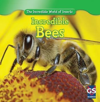 Incredible Bees by Susan Ashley, 9781433945755