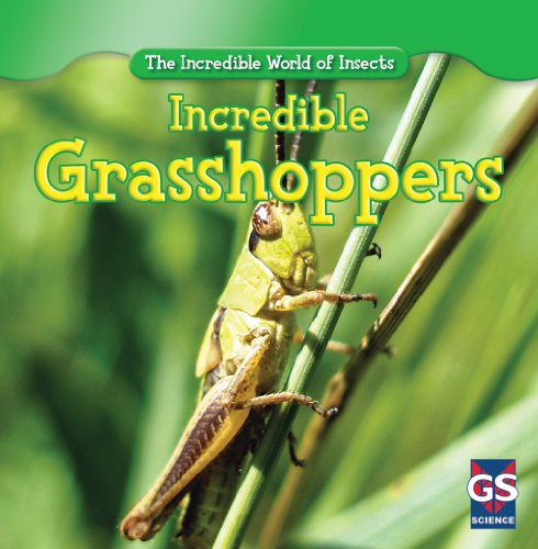 Incredible Grasshoppers by Susan Ashley, 9781433945878