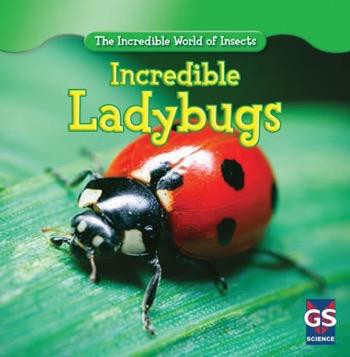 Incredible Ladybugs by Susan Ashley, 9781433945915