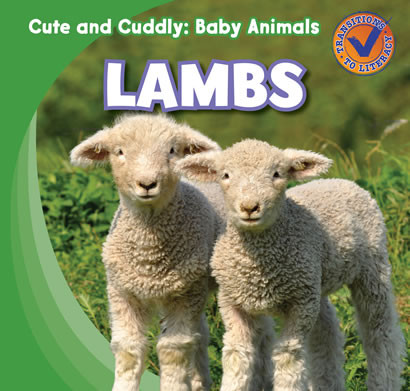 Lambs - 9781433955464 by Katie Kawa, 9781433955464