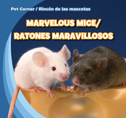 Furry Hamsters / Hámsteres peludos (Bilingual Edition) by Katie Kawa, 9781433956072