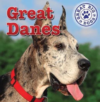 Great Danes - 9781433957741 by Kristen Rajczak Nelson, 9781433957741
