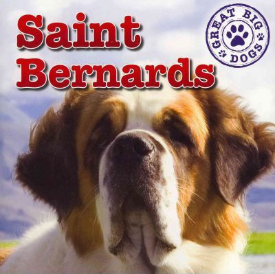 St. Bernards - 9781433957925 by Maria Nelson, 9781433957925
